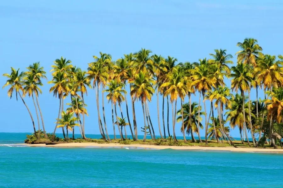 Miches, el paraíso del este: 5 planes imprescindibles