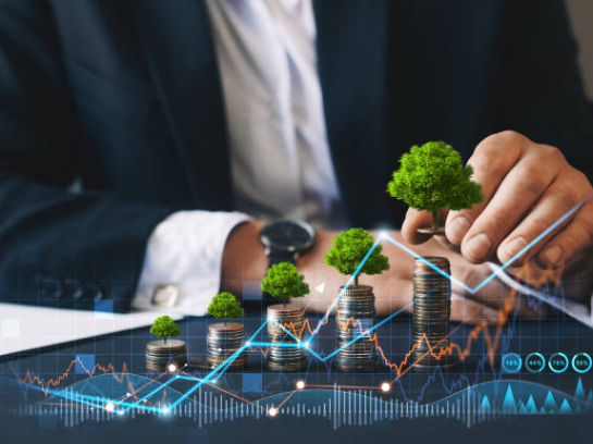 ¿Qué son las finanzas sostenibles? Algunos conceptos clave